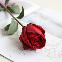 Load image into Gallery viewer, 5pcs/Set Artificial Rose Vintage Style Burnt Edge Rose Flower Decorative Table Artificial Flower
