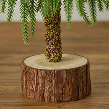 Load image into Gallery viewer, Crooked neck Christmas tree PE Yenobesong household small tabletop ornament
