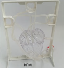 Load image into Gallery viewer, Human heart educational toys Blood circulation model Heart working principle model Teaching aids
