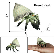 Load image into Gallery viewer, Hermit Crab Simulation Marine Animal Crab Submarine Creature Model Children's Educational Learning Toy Fish Tank Decoration
