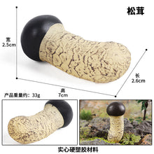 Load image into Gallery viewer, 19pcs/set Mushroom Model Vegetable Props Children's Puzzle Toy Decoration Decoration Scene Props

