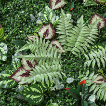 Load image into Gallery viewer, Artificial Combination Plant Wall Background Wall Decoration UV-Resistant Milan Lawn Plastic Fake Green Plants Wall
