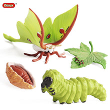 Load image into Gallery viewer, Simulation Insect Animal Growth Cycle Model Moon God Moth Green Tail Moon-Shaped Silkworm Moth Children Educational Toy Gift
