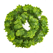 Load image into Gallery viewer, 3PCs Artificial Rattan Vines Artificial Green Leaf Grape Leaves Decorative Rattan
