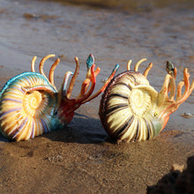 Load image into Gallery viewer, 2pcs/Set Simulation Marine Animals Snails Model Toys Ancient Creatures Children Puzzle Gift Nautilidae Conch Fish Tank Decoration
