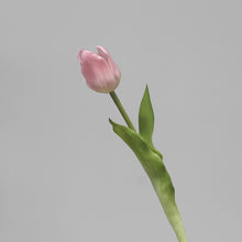 Load image into Gallery viewer, 5PCs PE Feel Tulip Artificial Flowers Desktop Simulation Flower
