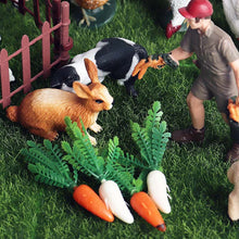 Load image into Gallery viewer, Farm Poultry Dinosaur Scene Decoration Set Children's Learning Model Animal Model Toys
