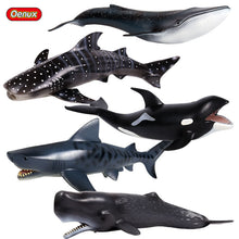 Load image into Gallery viewer, A Variety of Marine Life Models Great White Shark Megalodon Whale Shark Tiger Shark Blue Whale Children Learning Cognitive Ornaments
