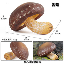 Load image into Gallery viewer, 19pcs/set Mushroom Model Vegetable Props Children's Puzzle Toy Decoration Decoration Scene Props
