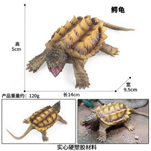 Load image into Gallery viewer, Freshwater Animal Crocodile Snapping Turtle Tortoise Tortoise Children's Science and Education Cognitive Biological Model Toy Decoration
