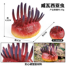 Load image into Gallery viewer, Marine Animal Model Prehistoric Trilobite Shrimp Chrysanthemum and Stone Cambrian Nautilidae Plate Foot Crab Children Teaching Toy Model
