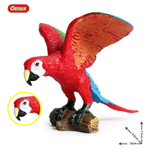 Load image into Gallery viewer, Oenux Classic Bird Animal Flamingos Parrot Sea Mew Peacock Owl Ostrich Model Solid PVC Action Figures Miniature Education Toy

