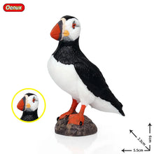 Load image into Gallery viewer, Oenux Classic Bird Animal Flamingos Parrot Sea Mew Peacock Owl Ostrich Model Solid PVC Action Figures Miniature Education Toy
