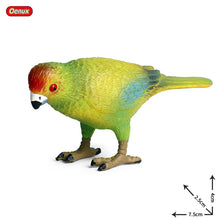 Load image into Gallery viewer, Oenux Classic Bird Animal Flamingos Parrot Sea Mew Peacock Owl Ostrich Model Solid PVC Action Figures Miniature Education Toy

