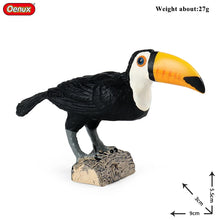 Load image into Gallery viewer, Oenux Classic Bird Animal Flamingos Parrot Sea Mew Peacock Owl Ostrich Model Solid PVC Action Figures Miniature Education Toy
