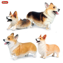 Load image into Gallery viewer, Oenux Lovely Corgi Simulation Dog Animals Action Figures Baby Running Corgi Model Figurine PVC Lifelike Collection Cute Kid Toy
