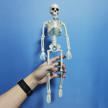 Load image into Gallery viewer, People Active Model skeleto Anatomy Skeleton Skeleton Model Medical Learning Halloween Party Decoration Skeleton Art Sketch
