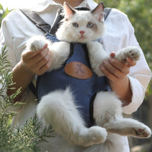 Load image into Gallery viewer, Pet Cat Carrier Bags Breathable Outdoor Pet Carriers Small Dog Cat Backpack Fashion Travel Pet Bag Transport Puppy Carrier
