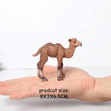 Load image into Gallery viewer, Wild animal models realistic hand-painted Partridge, donkeys, camels, moose toys Christmas birthday gifts for children
