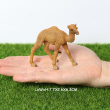 Load image into Gallery viewer, Wild animal models realistic hand-painted Partridge, donkeys, camels, moose toys Christmas birthday gifts for children
