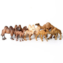 Load image into Gallery viewer, Wild animal models realistic hand-painted Partridge, donkeys, camels, moose toys Christmas birthday gifts for children
