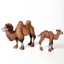 Load image into Gallery viewer, Wild animal models realistic hand-painted Partridge, donkeys, camels, moose toys Christmas birthday gifts for children
