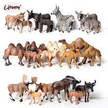 Load image into Gallery viewer, Wild animal models realistic hand-painted Partridge, donkeys, camels, moose toys Christmas birthday gifts for children
