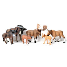 Load image into Gallery viewer, Wild animal models realistic hand-painted Partridge, donkeys, camels, moose toys Christmas birthday gifts for children
