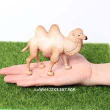 Load image into Gallery viewer, Wild animal models realistic hand-painted Partridge, donkeys, camels, moose toys Christmas birthday gifts for children
