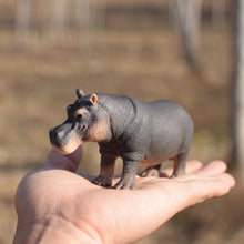 Load image into Gallery viewer, 5 inch Simulation Hippopotamus Wild Life Model Figurines Toy Figures Zoo River Animal Early Educational Toys
