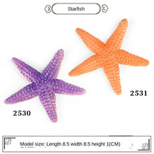 Load image into Gallery viewer, Marine Animal Model Prehistoric Trilobite Shrimp Chrysanthemum and Stone Cambrian Nautilidae Plate Foot Crab Children Teaching Toy Model
