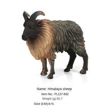 Load image into Gallery viewer, Wild Forest Animal Zoo plastic Models Simulation Antelope Gazelle Argali Model Action Figure Figurines Teaching Kids Toys
