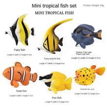 Load image into Gallery viewer, Marine Animal Model Prehistoric Trilobite Shrimp Chrysanthemum and Stone Cambrian Nautilidae Plate Foot Crab Children Teaching Toy Model
