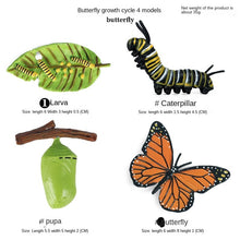 Load image into Gallery viewer, Simulation Insect Animal Growth Cycle Model Moon God Moth Green Tail Moon-Shaped Silkworm Moth Children Educational Toy Gift
