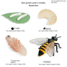 Load image into Gallery viewer, Simulation Animal Insect PVC ladybug Bee spider Model Action Figure Collection Miniature Cognition Educational Toys for Children
