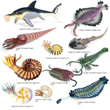 Load image into Gallery viewer, Marine Animal Model Prehistoric Trilobite Shrimp Chrysanthemum and Stone Cambrian Nautilidae Plate Foot Crab Children Teaching Toy Model
