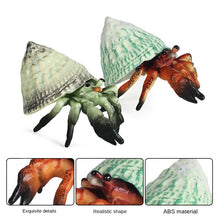 Load image into Gallery viewer, Hermit Crab Simulation Marine Animal Crab Submarine Creature Model Children's Educational Learning Toy Fish Tank Decoration
