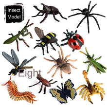 Load image into Gallery viewer, Mini Insect Animal Model Set Butterfly Bee Spider Poultry Marine Animal Doll Children Learning Gift Children Ornaments
