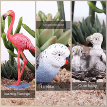 Load image into Gallery viewer, Animal Model Toy Set Flying Bird Bird Eagle Parrot Peacock Flamingo Cake Decorative Ornaments Children's Cognitive Toy
