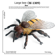 Load image into Gallery viewer, Simulation Animal Insect PVC ladybug Bee spider Model Action Figure Collection Miniature Cognition Educational Toys for Children
