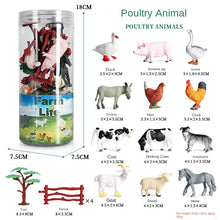 Load image into Gallery viewer, Mini Marine Life Model Set Wildlife Farm Poultry Model Simulation Solid Dinosaur Model Children's Teaching Cognitive Toys
