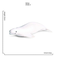 Load image into Gallery viewer, Sea Life Animals Dolphin Crab Shark Turtle Model Action Figures Ocean Marine Aquarium Miniature Cognition Education Toy for Kids
