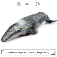 Load image into Gallery viewer, A Variety of Marine Life Models Great White Shark Megalodon Whale Shark Tiger Shark Blue Whale Children Learning Cognitive Ornaments
