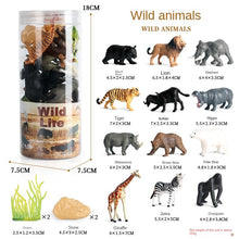 Load image into Gallery viewer, Mini Marine Life Model Set Wildlife Farm Poultry Model Simulation Solid Dinosaur Model Children's Teaching Cognitive Toys
