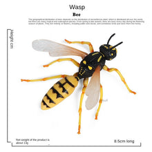 Load image into Gallery viewer, Simulation Animal Insect PVC ladybug Bee spider Model Action Figure Collection Miniature Cognition Educational Toys for Children
