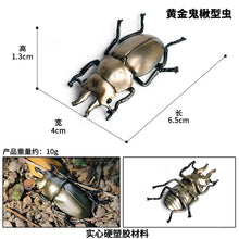 Load image into Gallery viewer, Simulated Insect Animal Figurine Model Spider Grasshopper Butterfly Snail Action Figure Scene Decoration Kids Collect Toys Gifts
