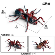 Load image into Gallery viewer, Simulated Insect Animal Figurine Model Spider Grasshopper Butterfly Snail Action Figure Scene Decoration Kids Collect Toys Gifts
