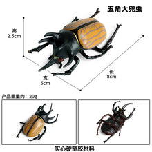 Load image into Gallery viewer, Simulated Insect Animal Figurine Model Spider Grasshopper Butterfly Snail Action Figure Scene Decoration Kids Collect Toys Gifts
