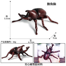 Load image into Gallery viewer, Simulated Insect Animal Figurine Model Spider Grasshopper Butterfly Snail Action Figure Scene Decoration Kids Collect Toys Gifts
