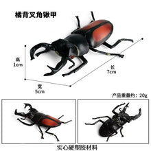 Load image into Gallery viewer, Simulated Insect Animal Figurine Model Spider Grasshopper Butterfly Snail Action Figure Scene Decoration Kids Collect Toys Gifts
